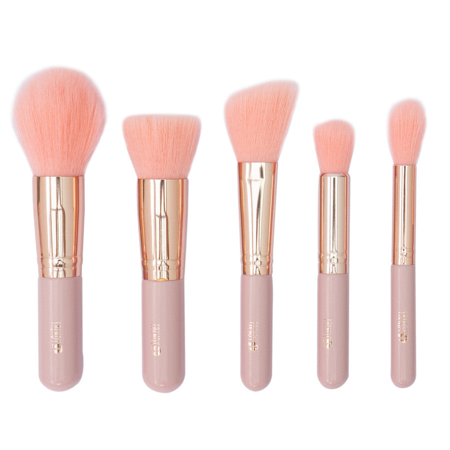 Kit Brocha Mini Rosado X10 Trendy